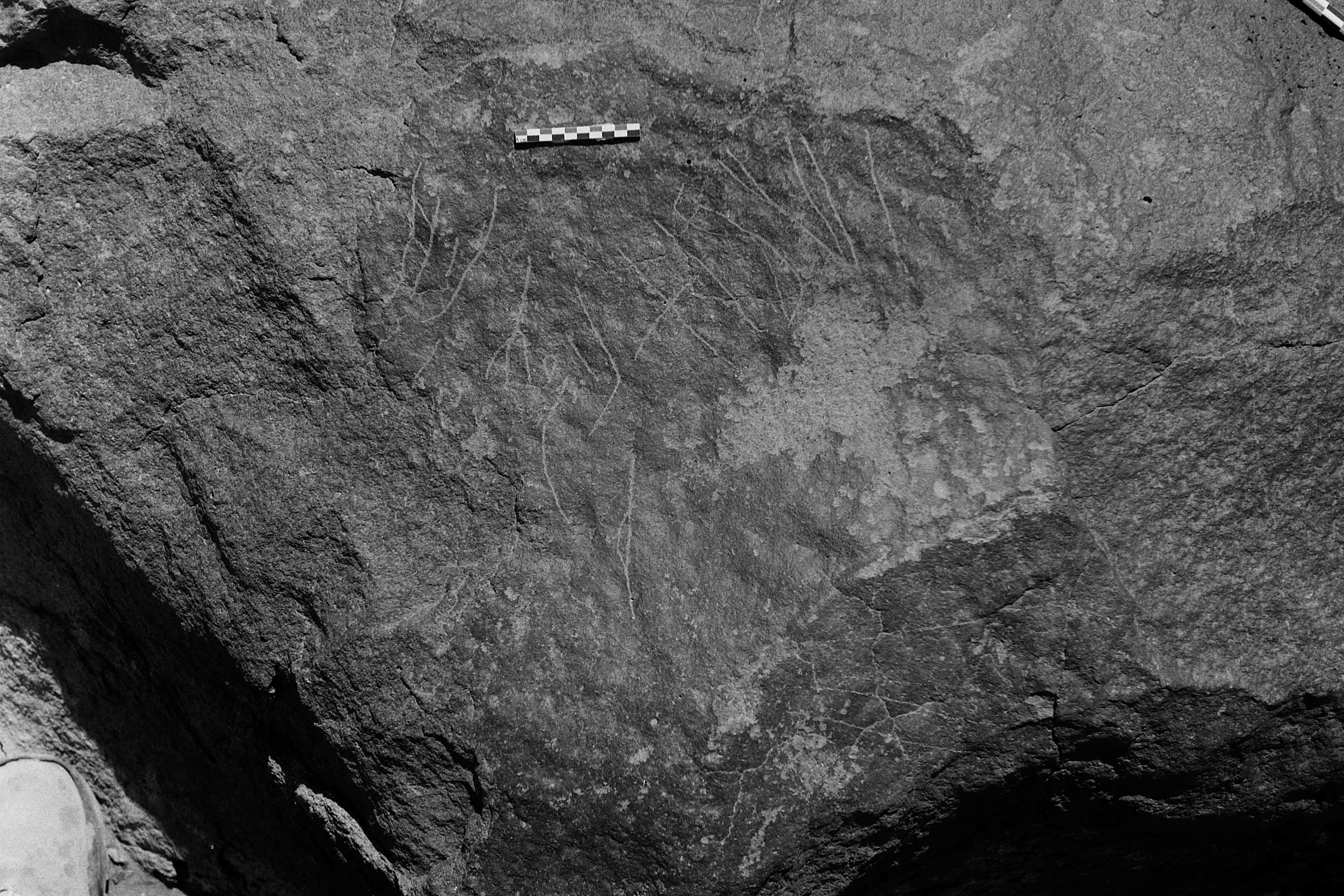inscription of siglum Is.Mu 342