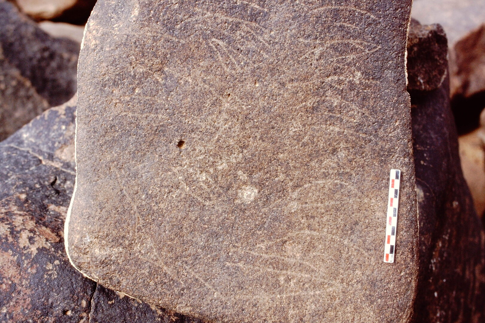 inscription of siglum Is.Mu 366