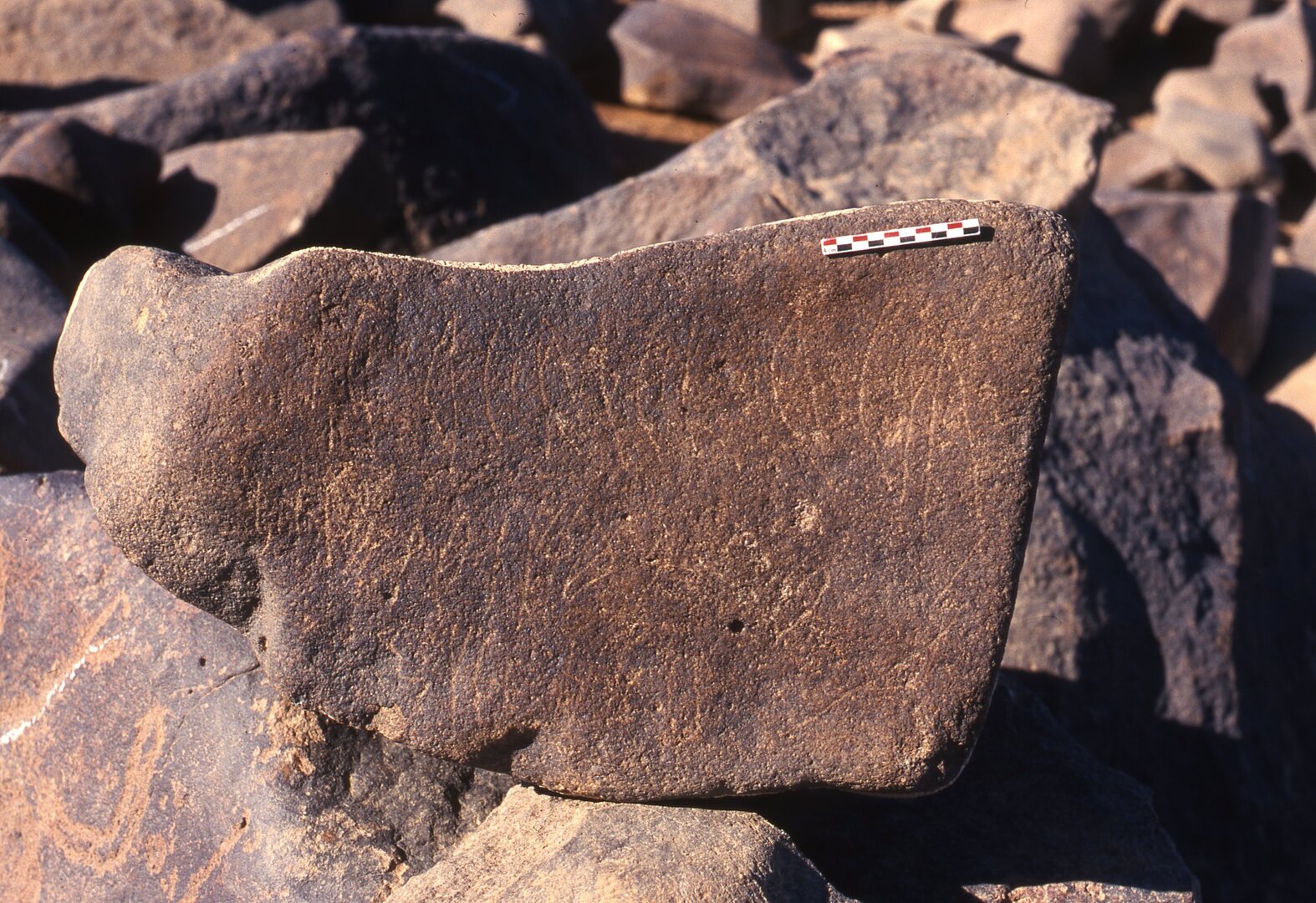 inscription of siglum Is.Mu 366