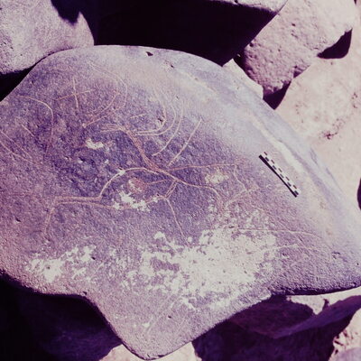inscription of siglum Is.Mu 368