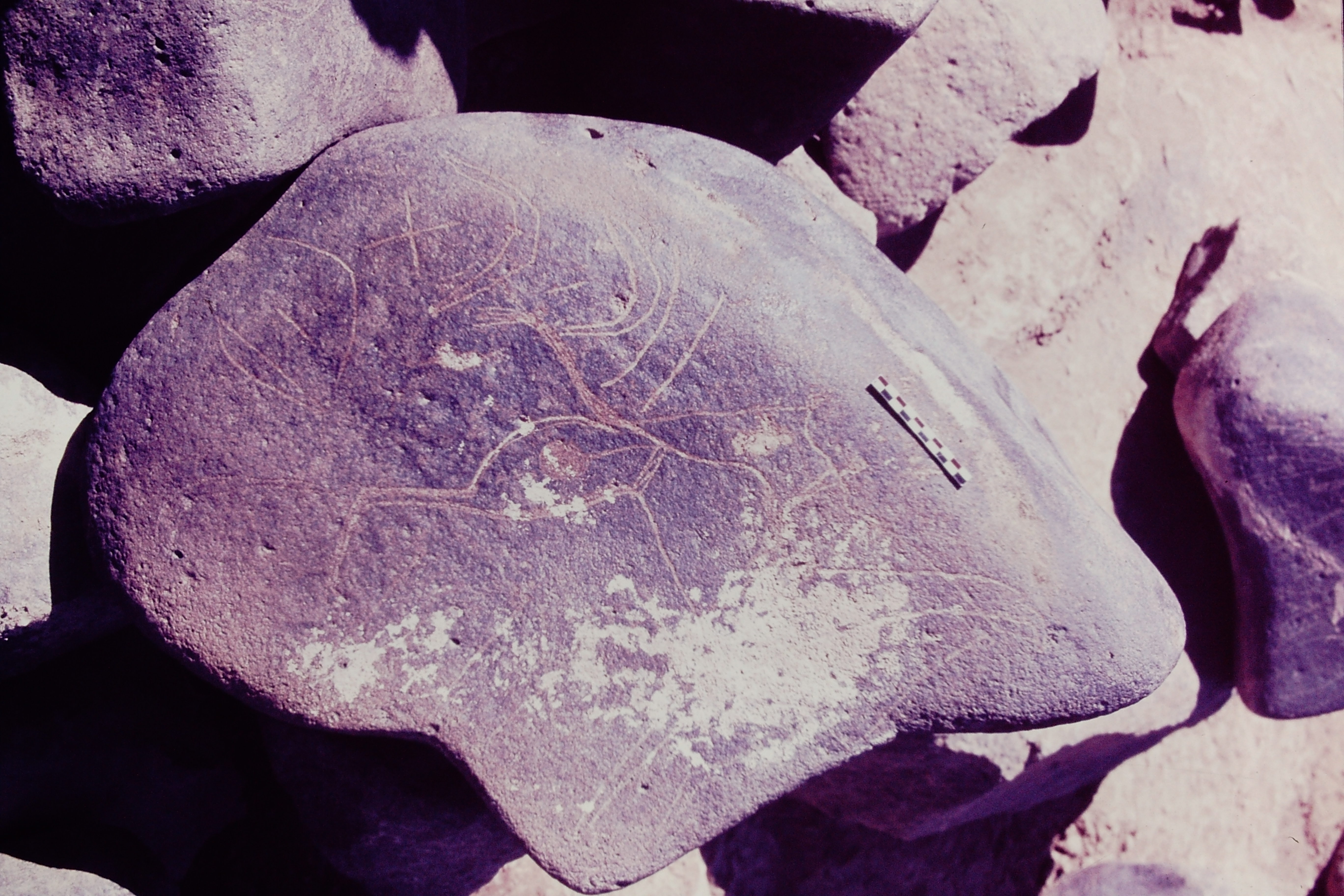 inscription of siglum Is.Mu 368