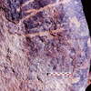 inscription of siglum Is.Mu 378