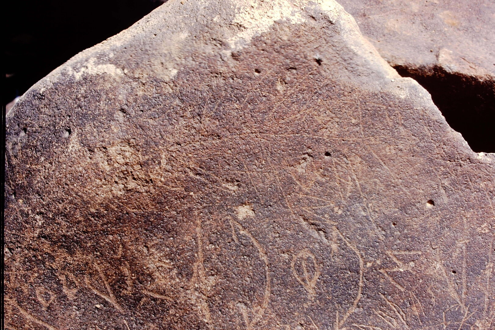 inscription of siglum Is.Mu 386