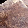 inscription of siglum Is.Mu 387