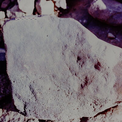 inscription of siglum Is.Mu 399
