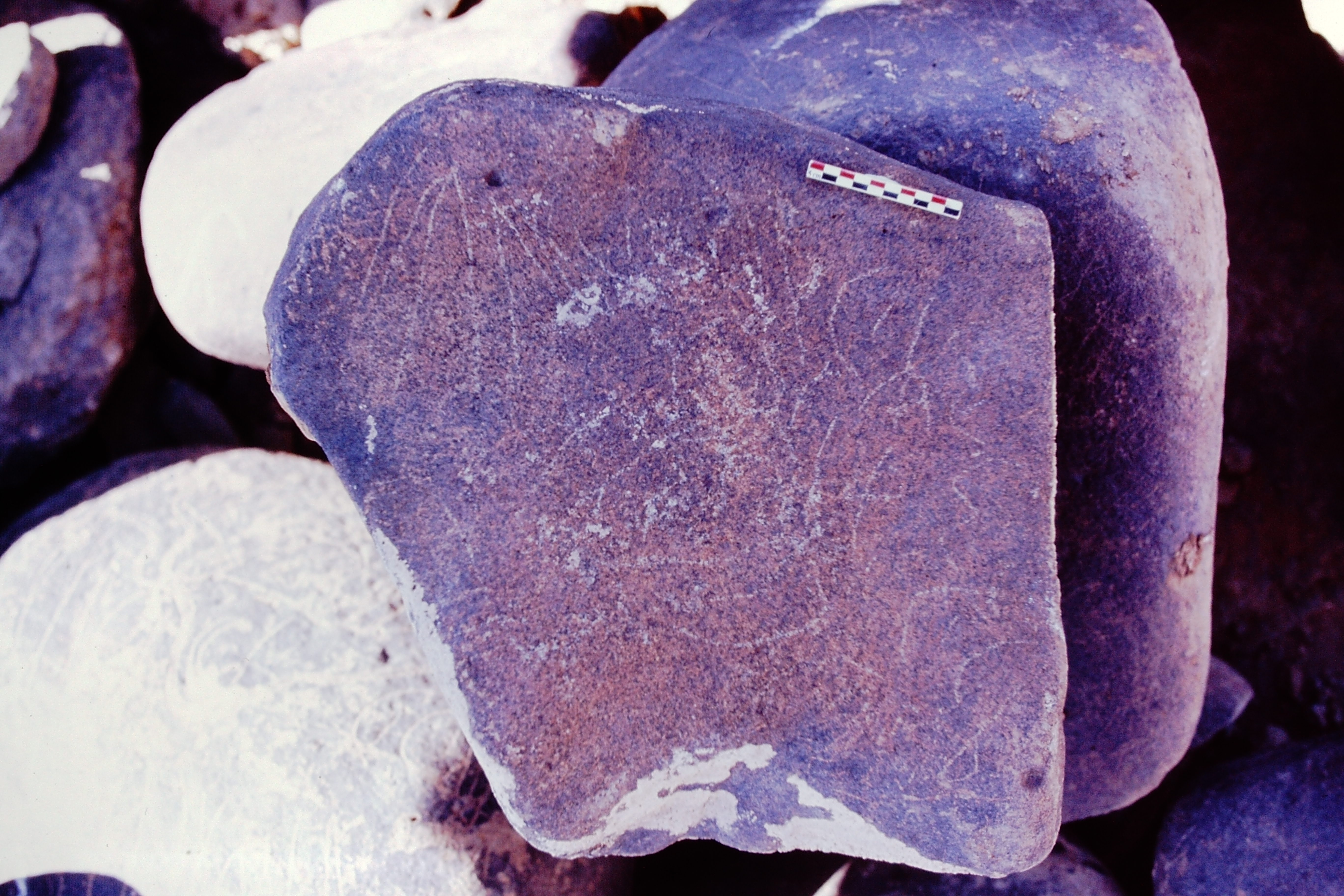 inscription of siglum Is.Mu 401