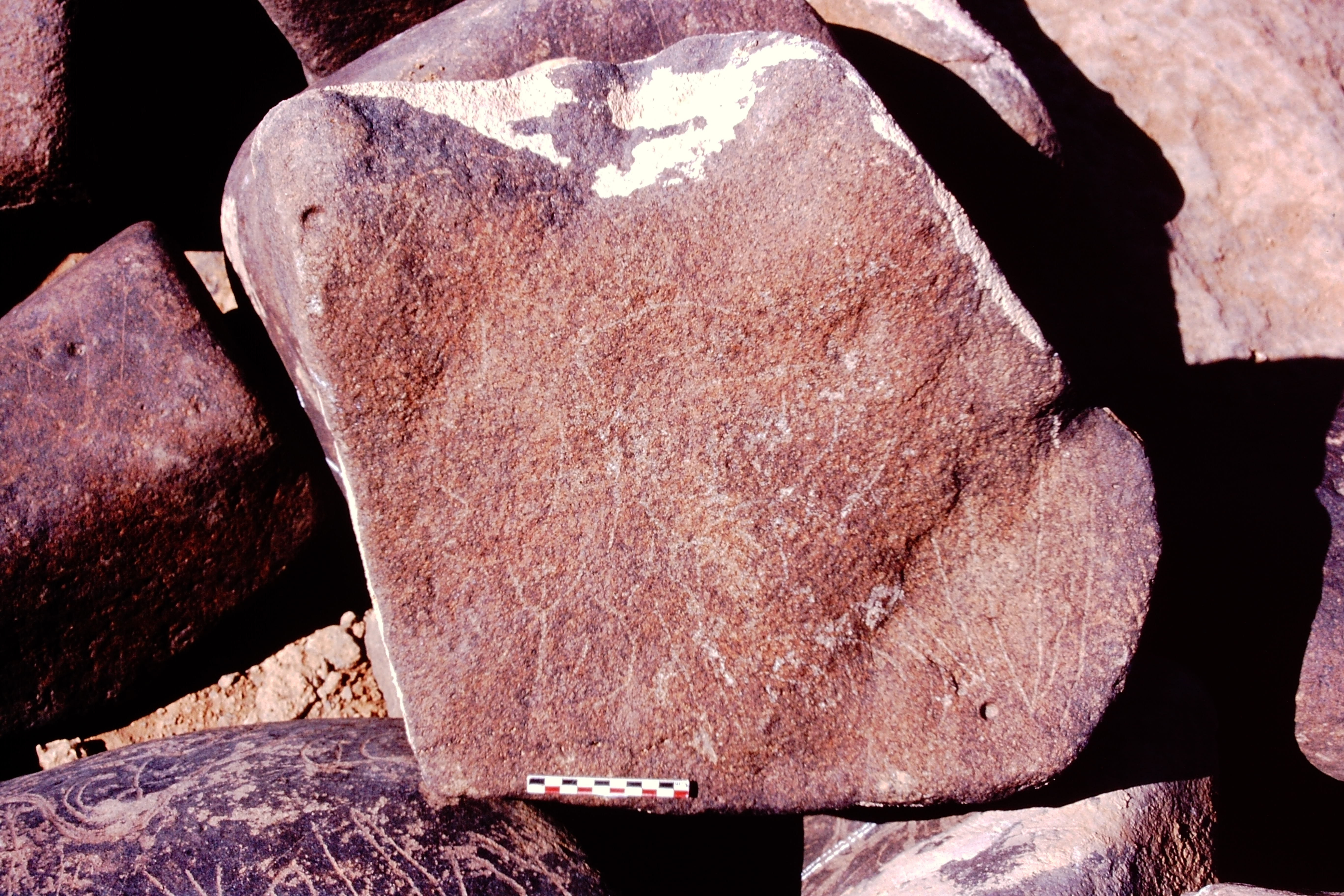 inscription of siglum Is.Mu 401