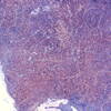 inscription of siglum Is.Mu 401