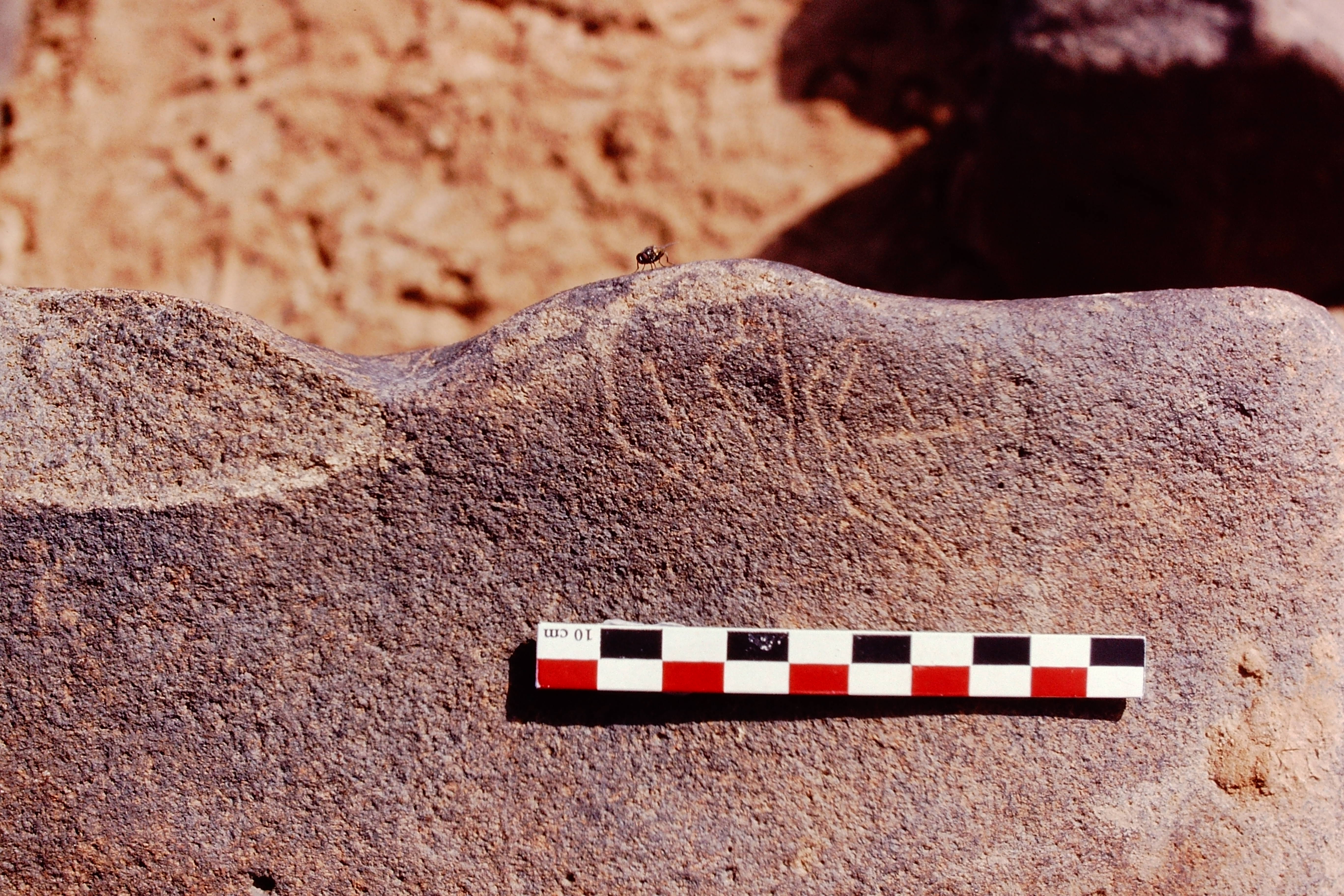 inscription of siglum Is.Mu 403