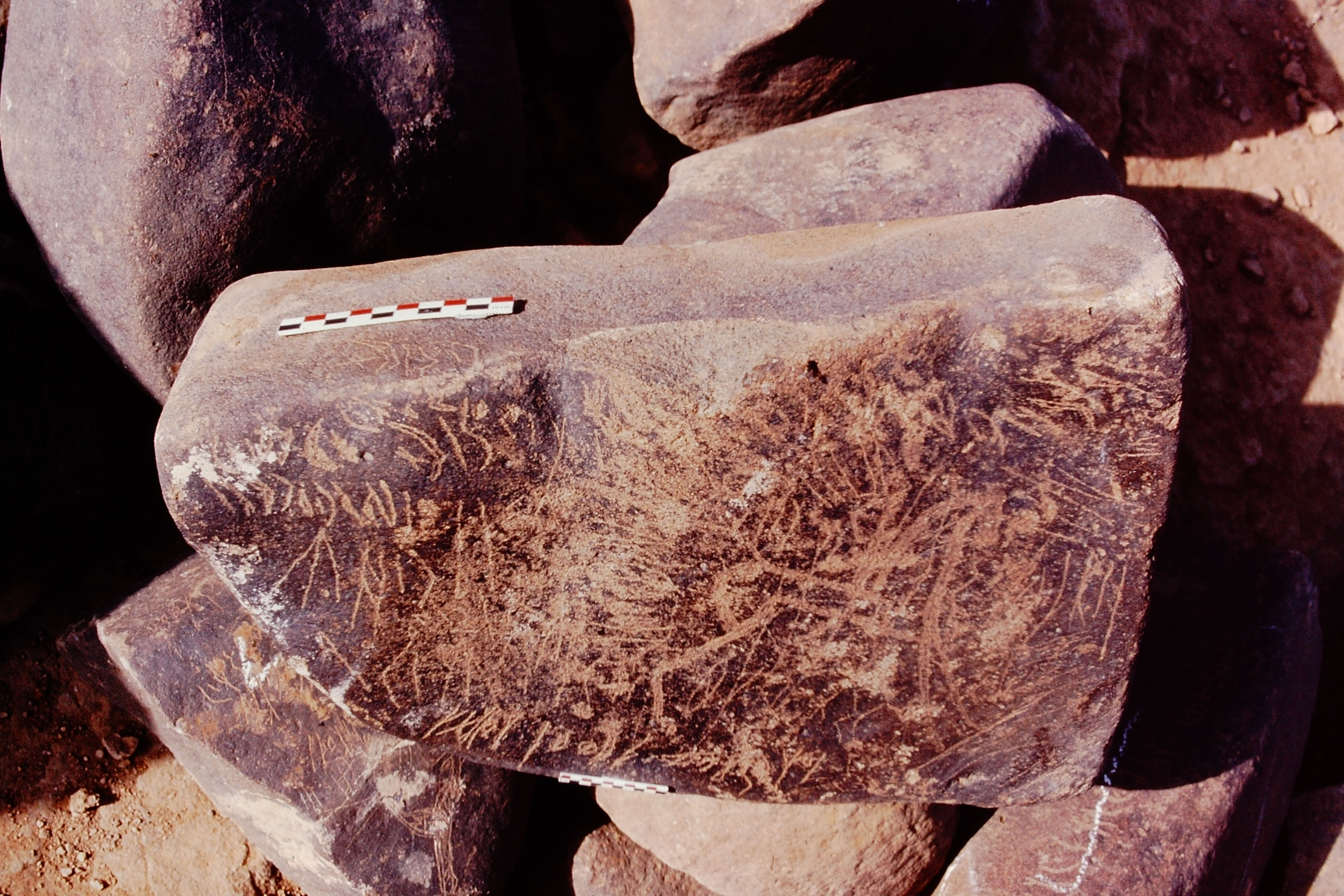 inscription of siglum Is.Mu 403