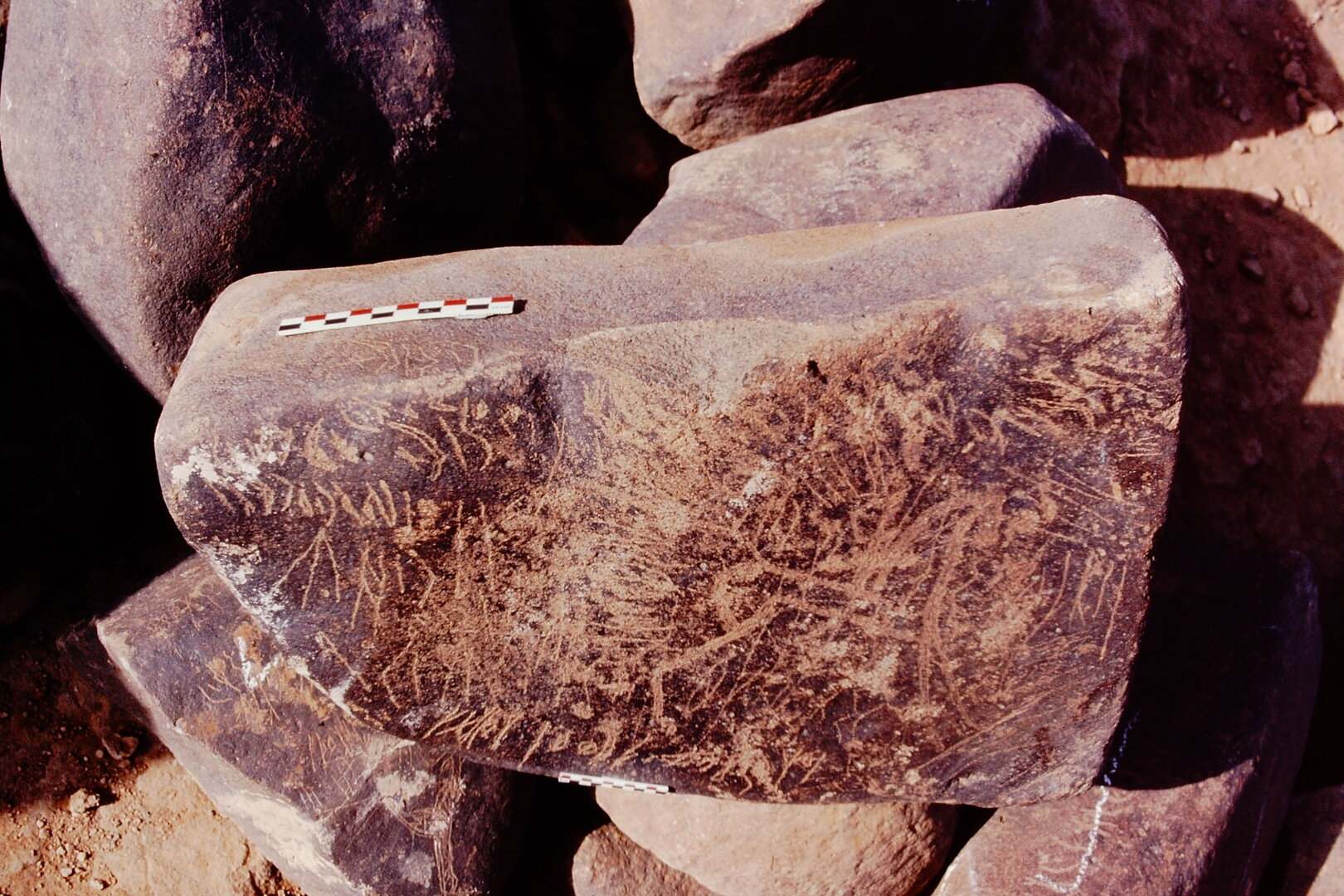 inscription of siglum Is.Mu 404