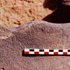 inscription of siglum Is.Mu 406