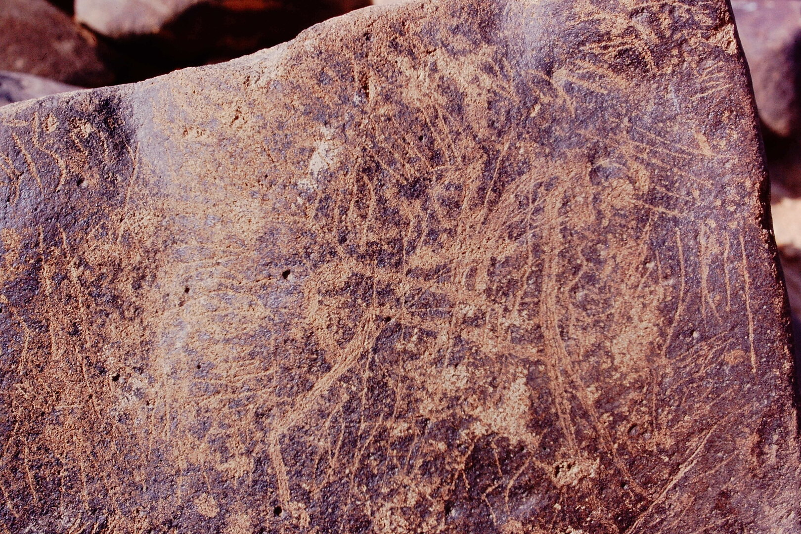 inscription of siglum Is.Mu 409