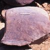 inscription of siglum Is.Mu 429