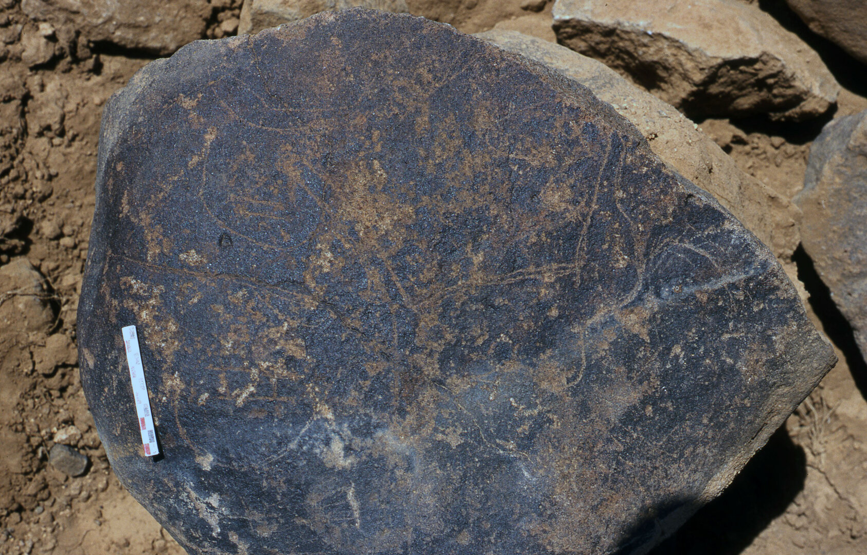 inscription of siglum Is.Mu 433