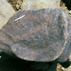 inscription of siglum Is.Mu 438