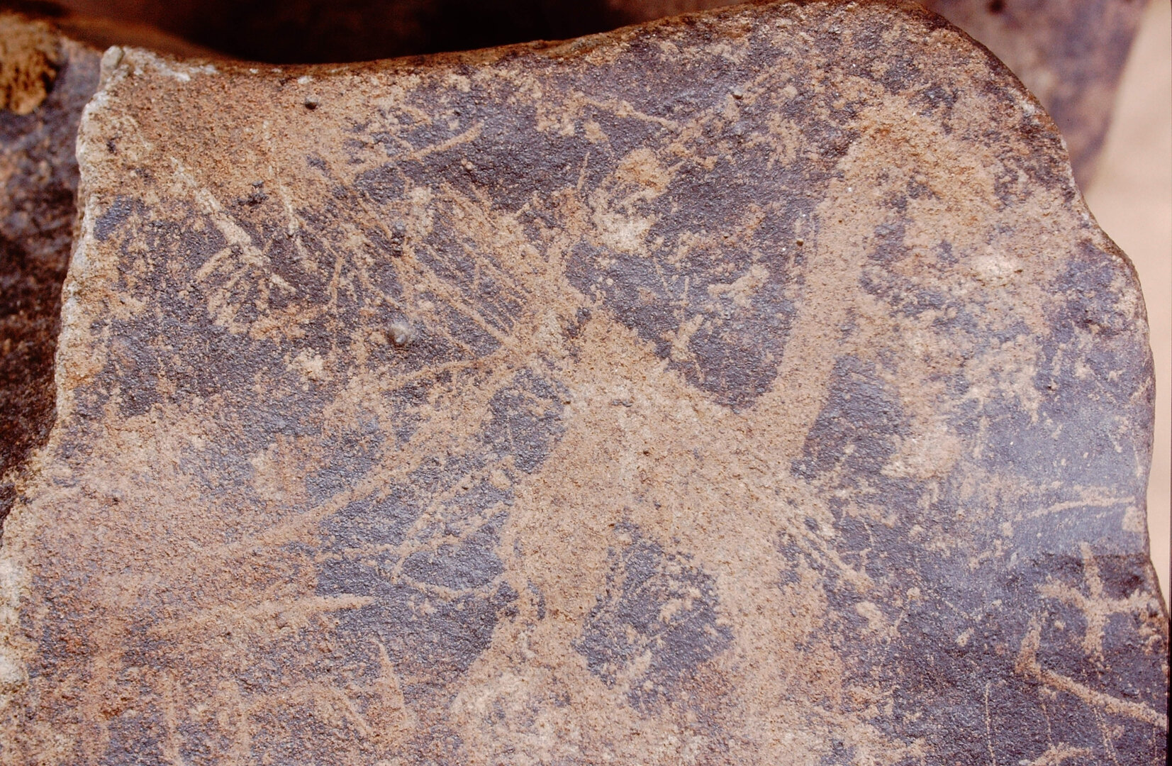 inscription of siglum Is.Mu 441
