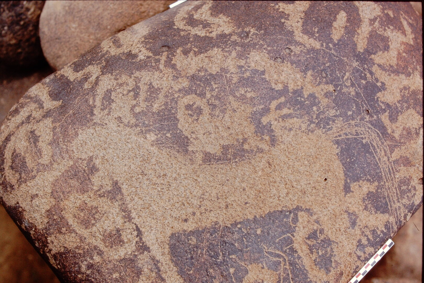 inscription of siglum Is.Mu 443