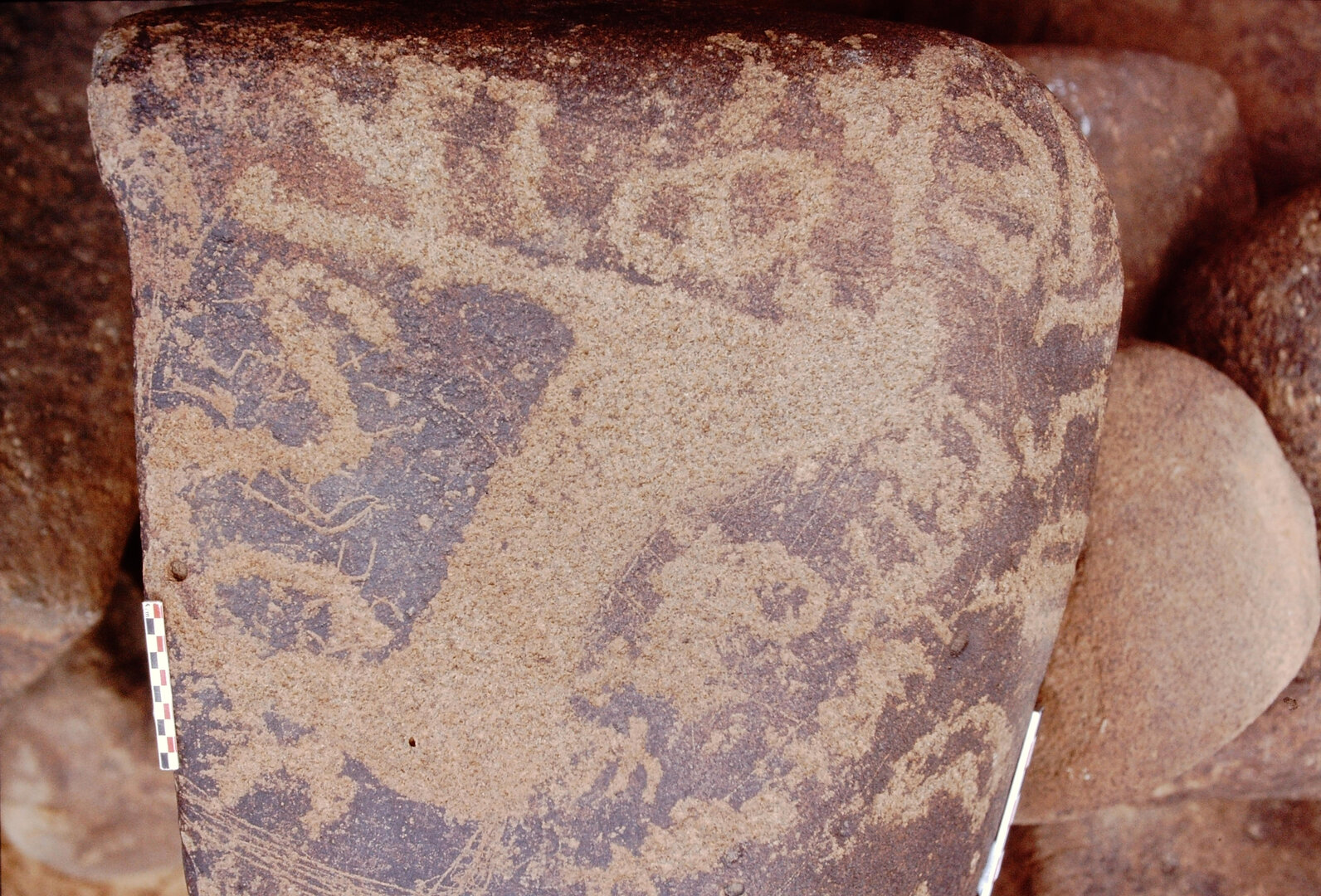 inscription of siglum Is.Mu 444