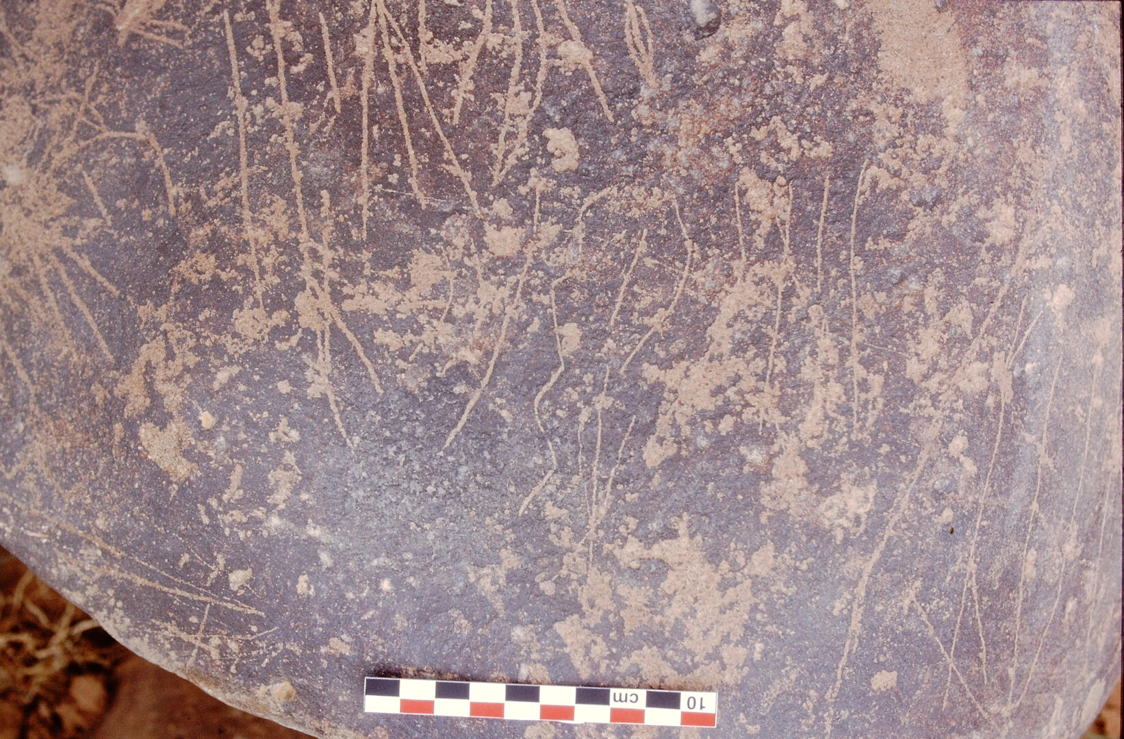 inscription of siglum Is.Mu 445
