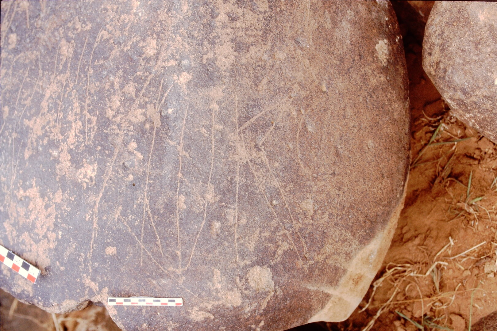 inscription of siglum Is.Mu 445