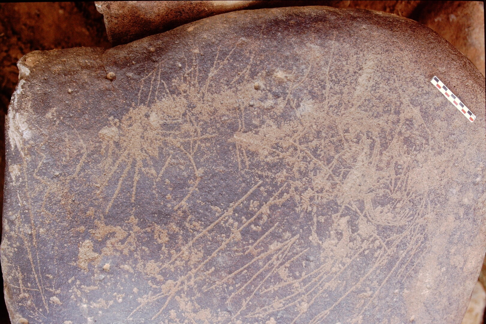 inscription of siglum Is.Mu 446