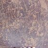 inscription of siglum Is.Mu 446