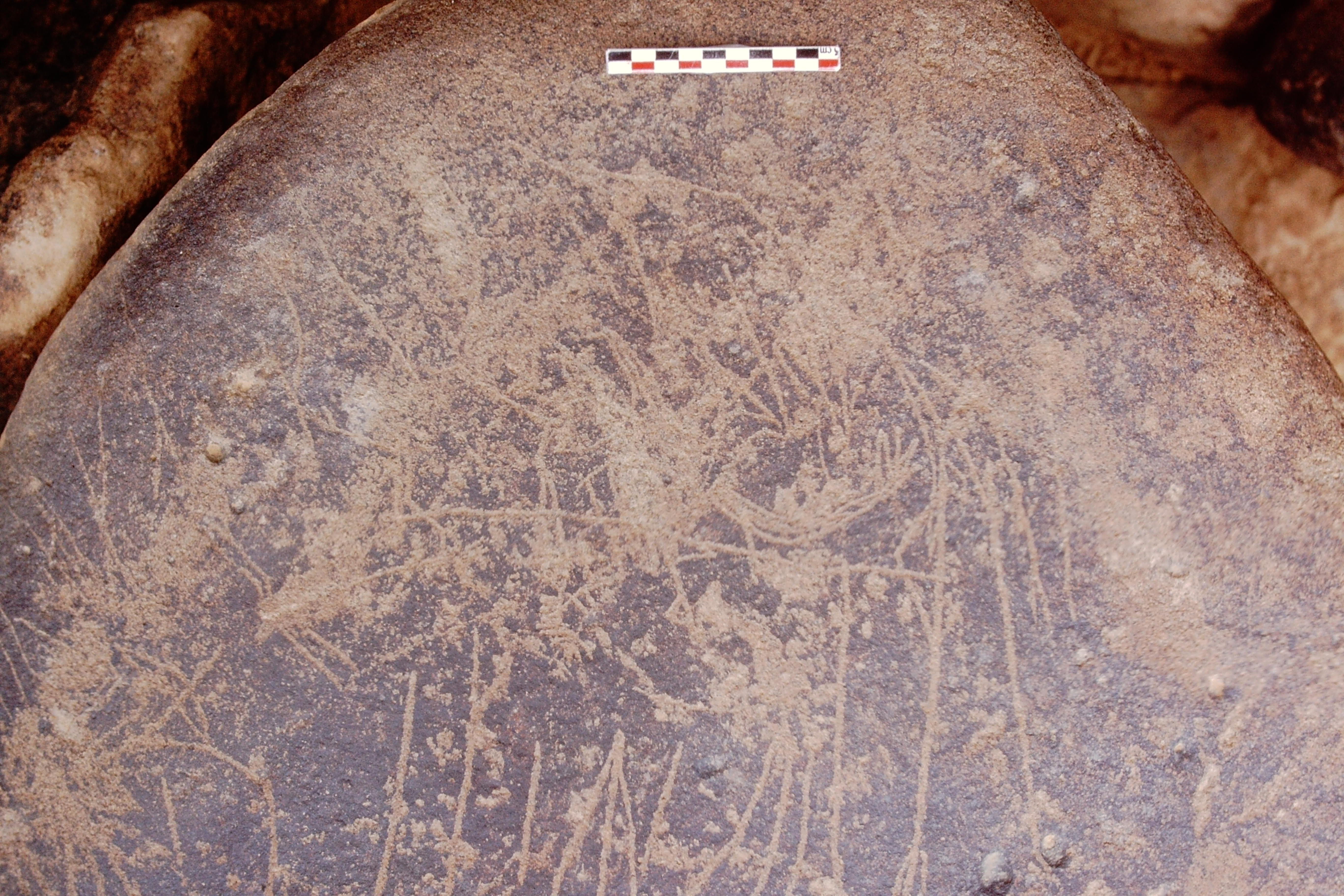 inscription of siglum Is.Mu 447