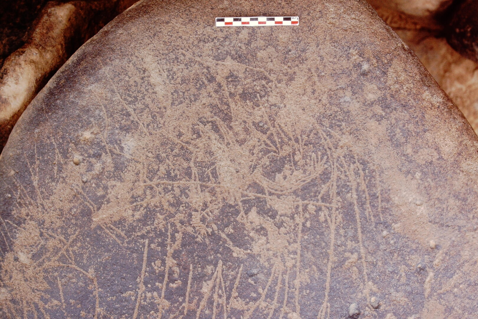 inscription of siglum Is.Mu 448