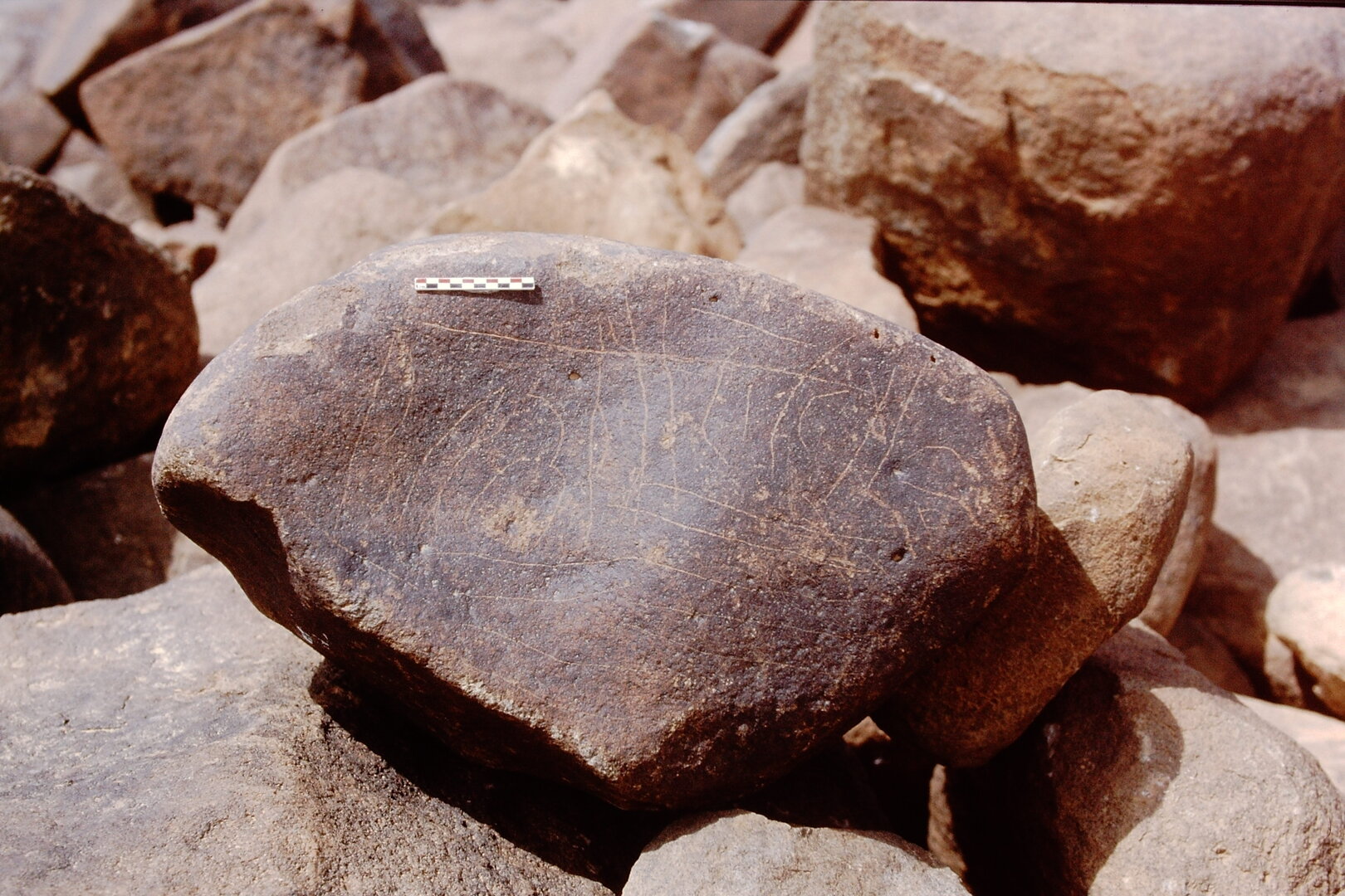 inscription of siglum Is.Mu 449