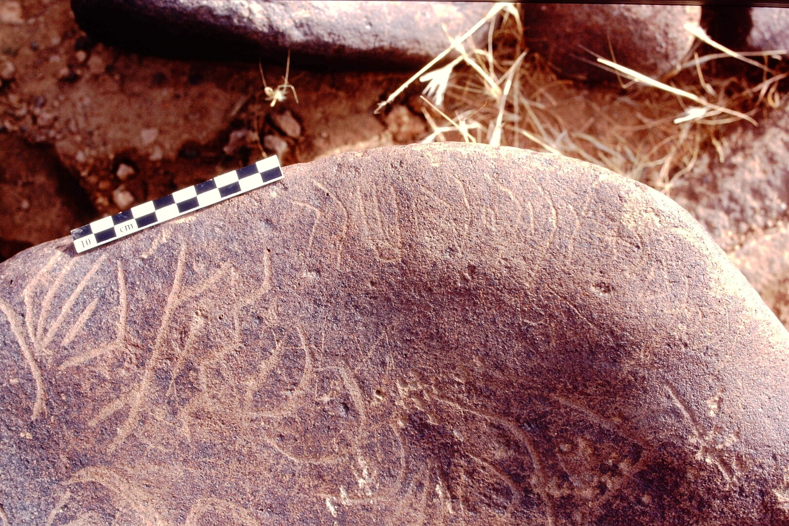 inscription of siglum Is.Mu 45 See LP 304