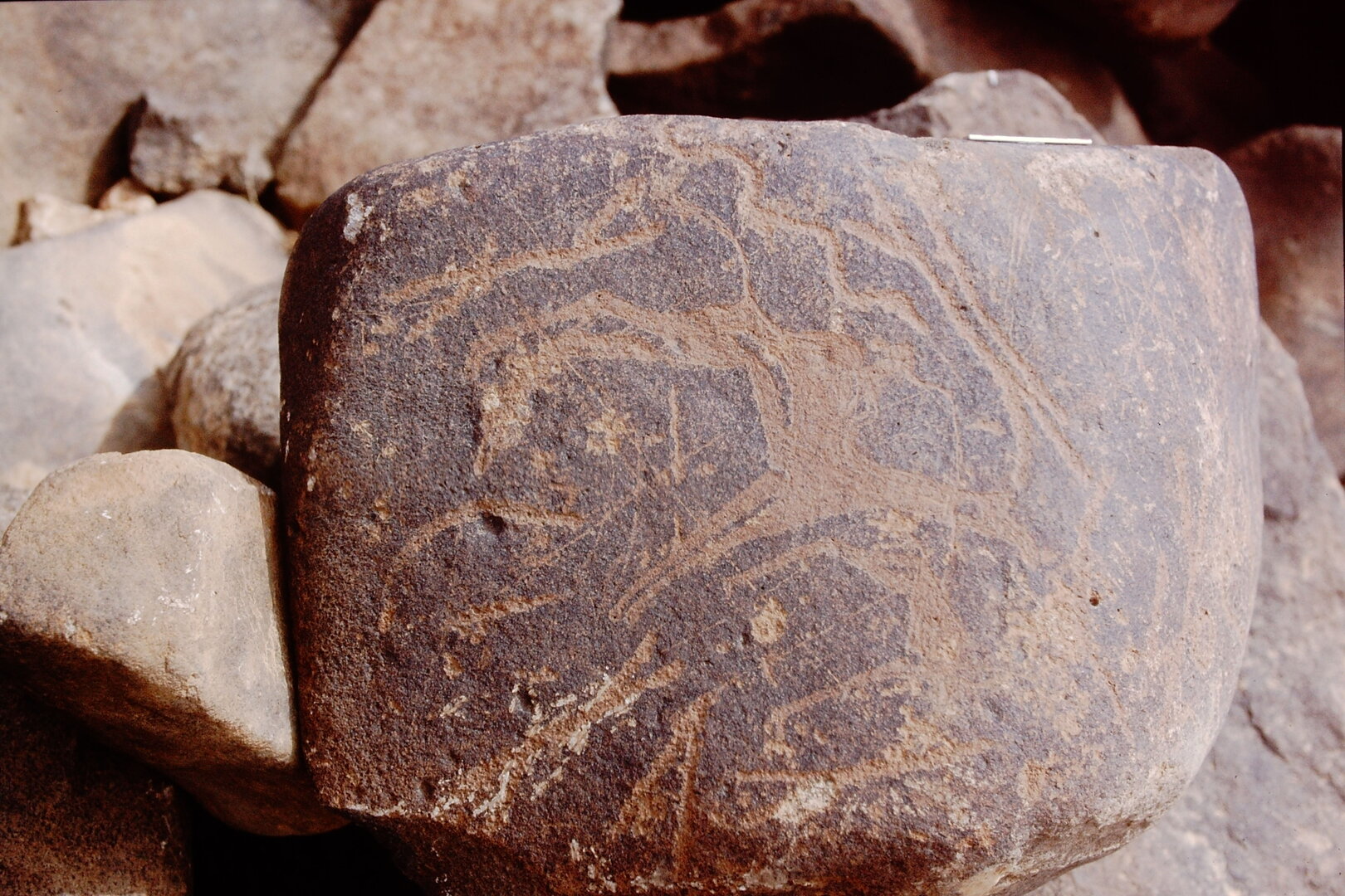 inscription of siglum Is.Mu 450