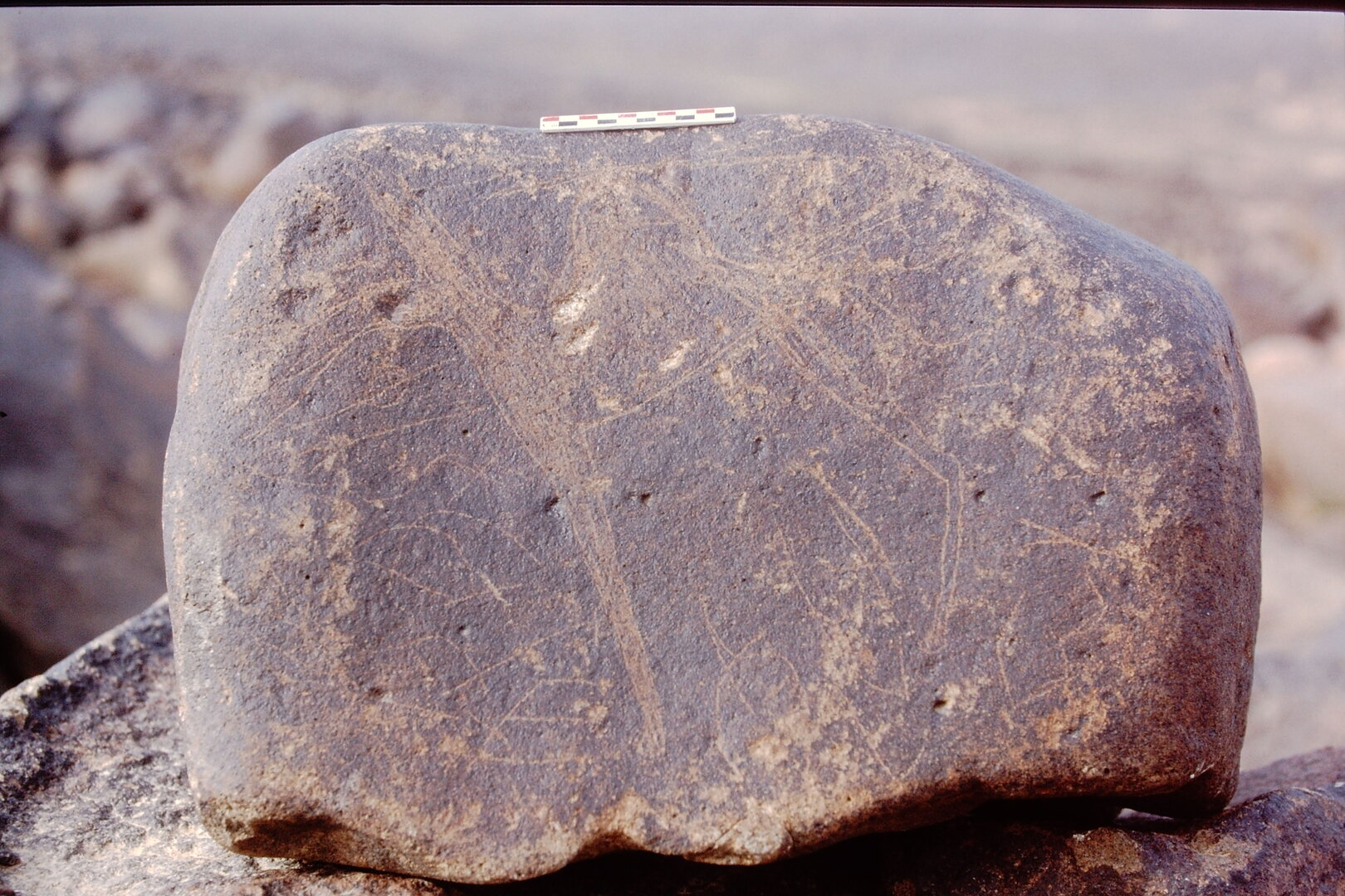 inscription of siglum Is.Mu 453