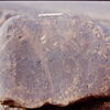 inscription of siglum Is.Mu 453