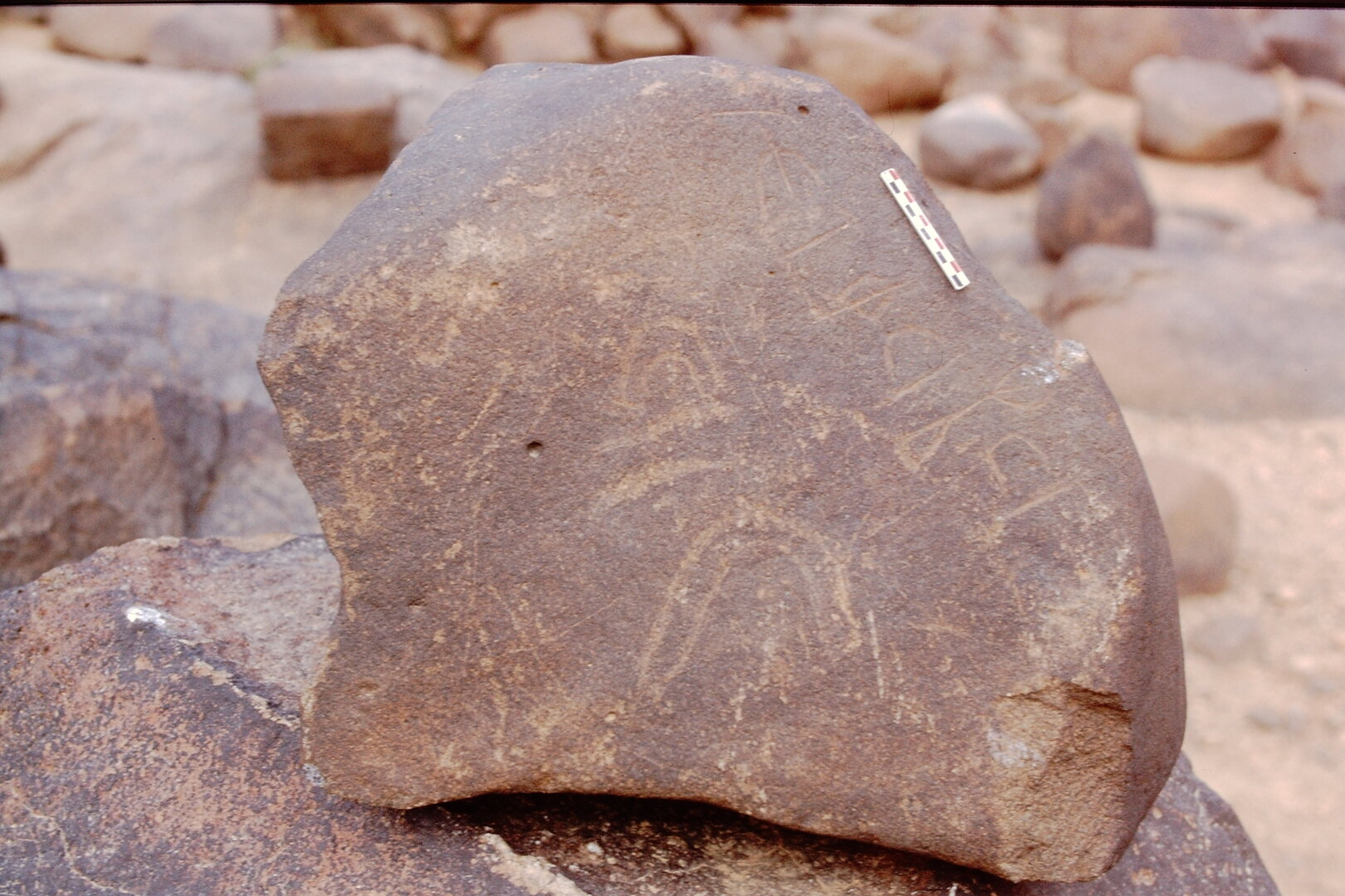inscription of siglum Is.Mu 455