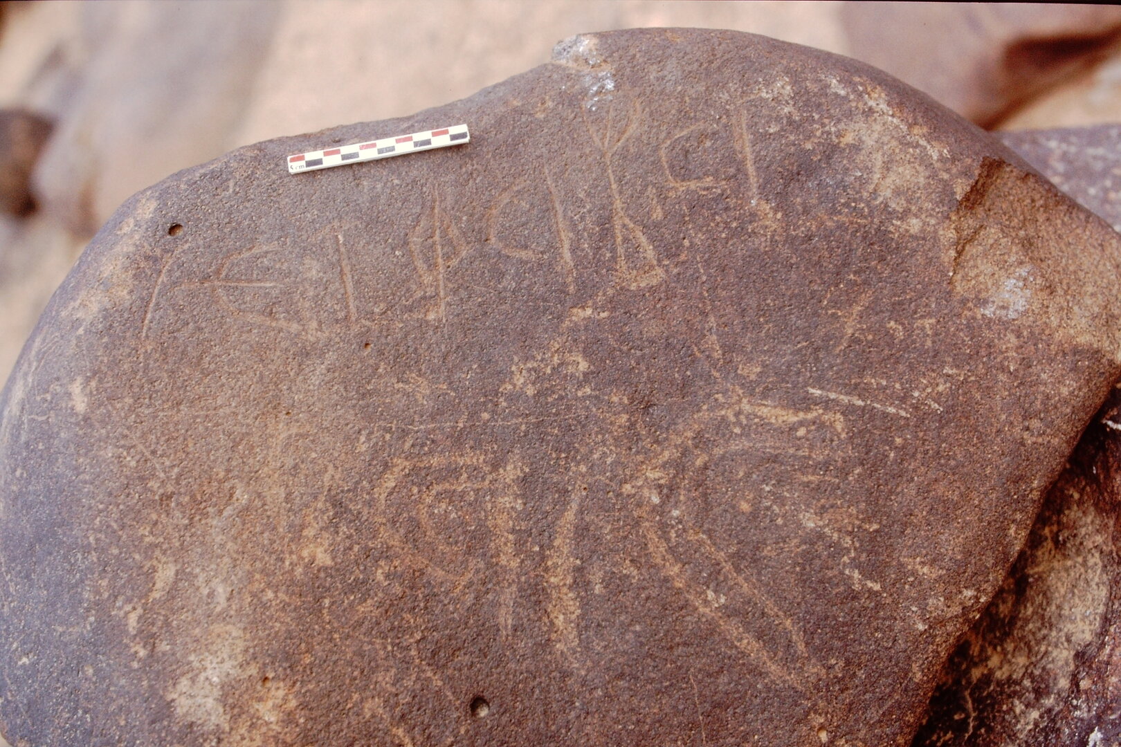 inscription of siglum Is.Mu 455