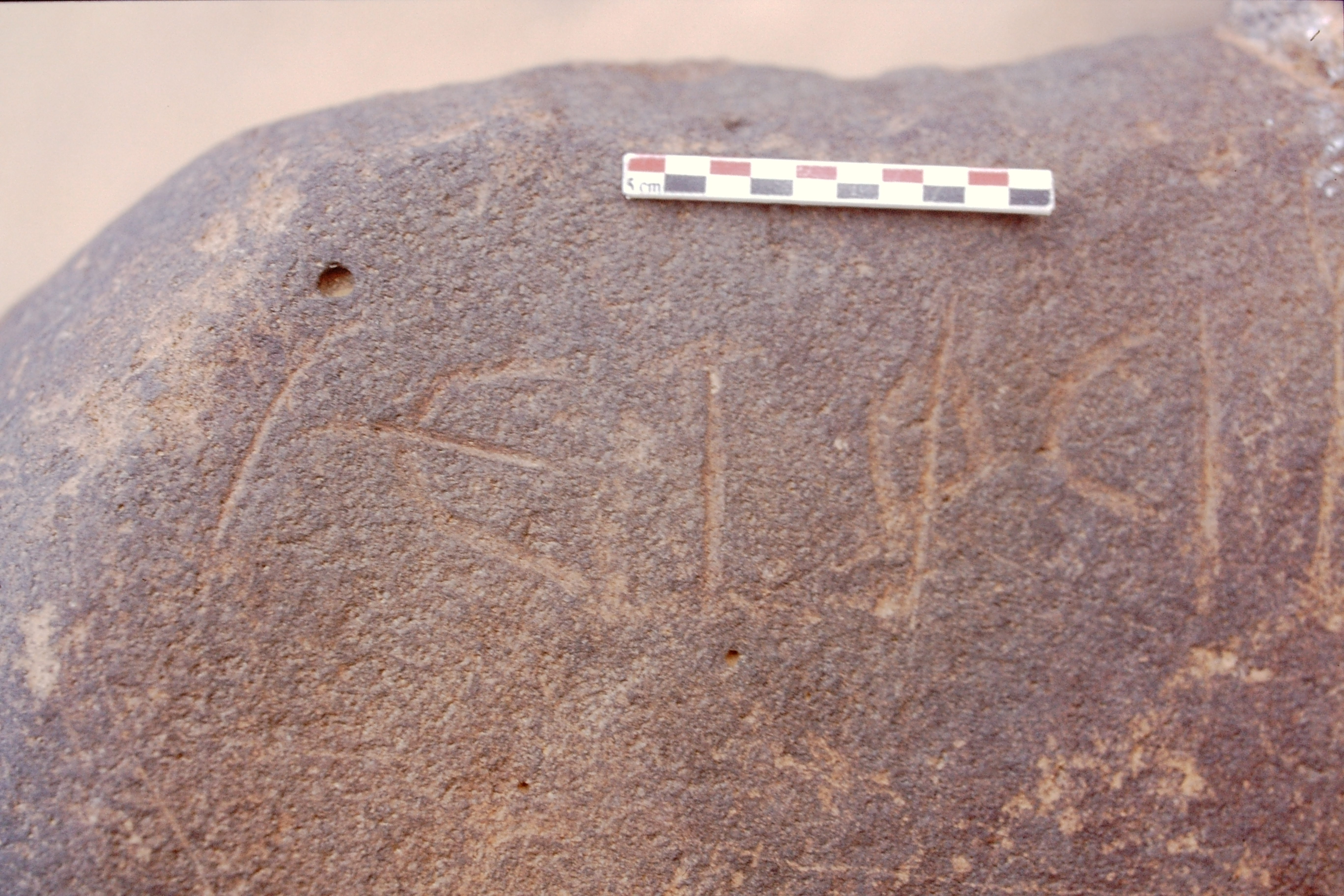 inscription of siglum Is.Mu 455