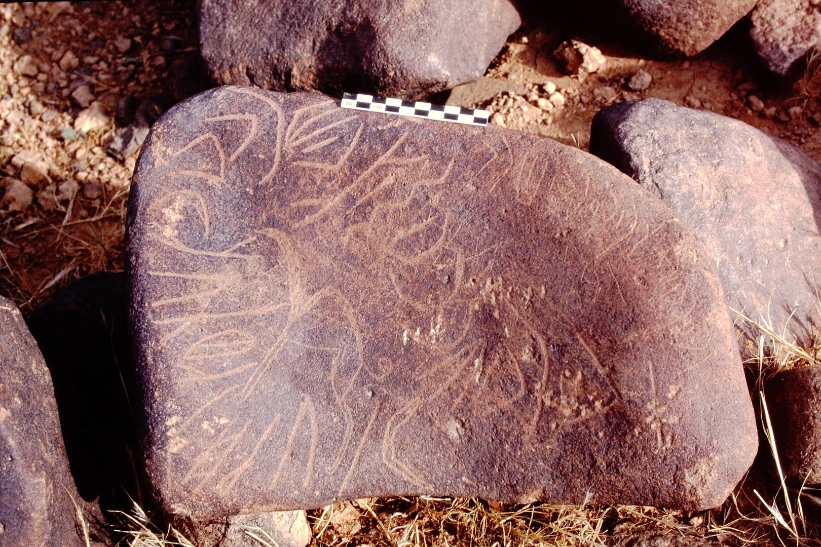 inscription of siglum Is.Mu 46 See LP 303