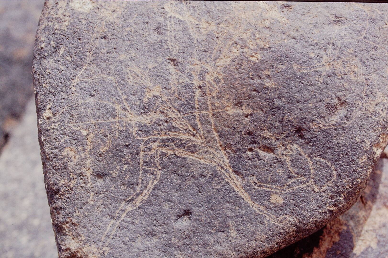 inscription of siglum Is.Mu 460