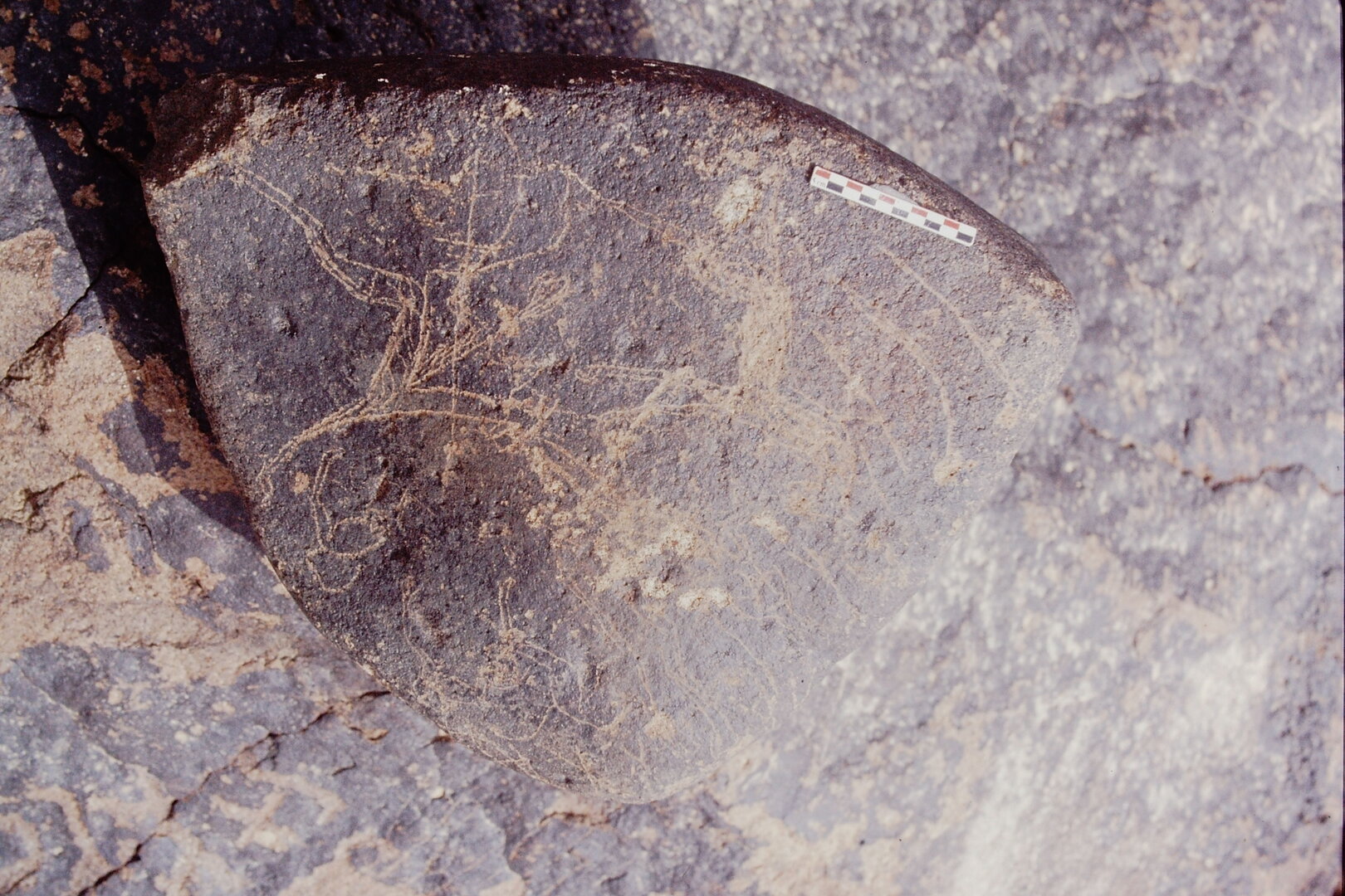 inscription of siglum Is.Mu 460