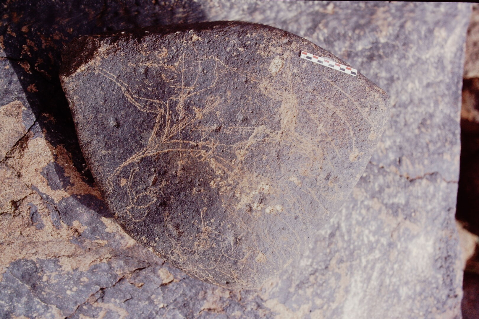 inscription of siglum Is.Mu 460