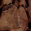 inscription of siglum Is.Mu 475