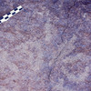 inscription of siglum Is.Mu 479