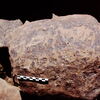 inscription of siglum Is.Mu 481.1