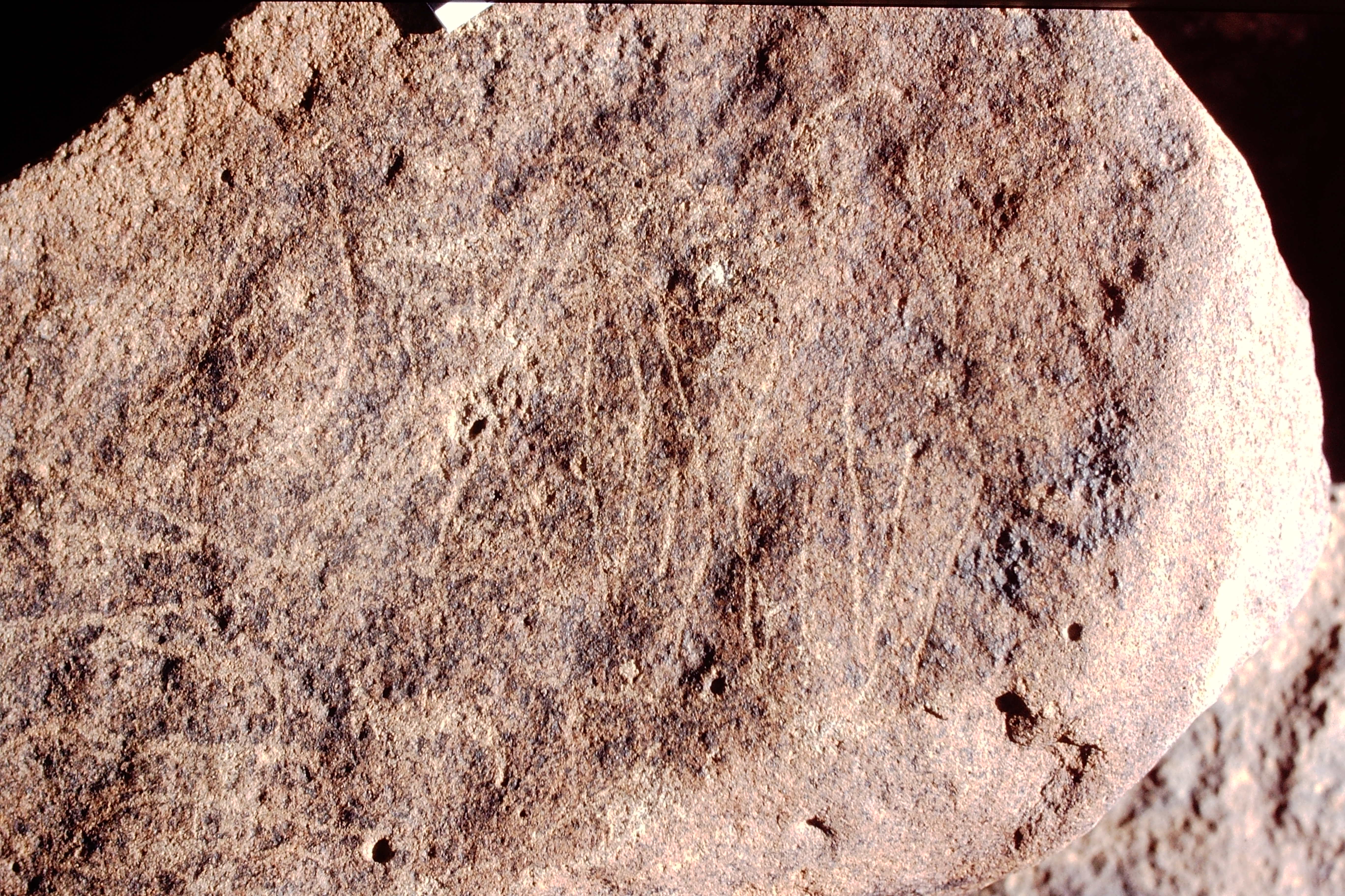 inscription of siglum Is.Mu 488