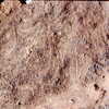inscription of siglum Is.Mu 488