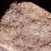 inscription of siglum Is.Mu 488