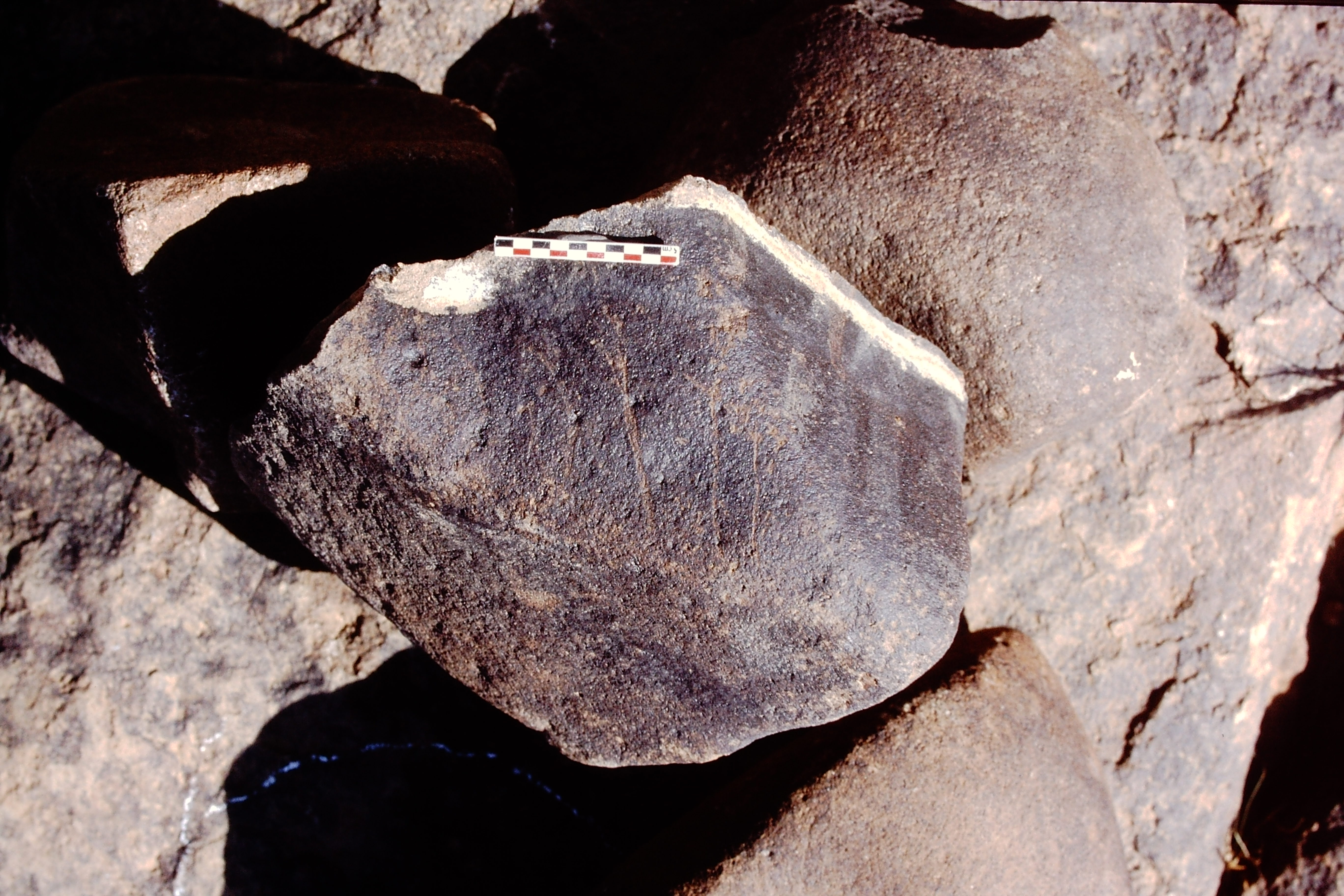 inscription of siglum Is.Mu 490