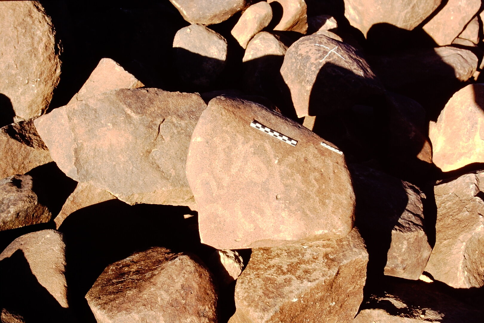 inscription of siglum Is.Mu 495