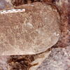 inscription of siglum Is.Mu 496